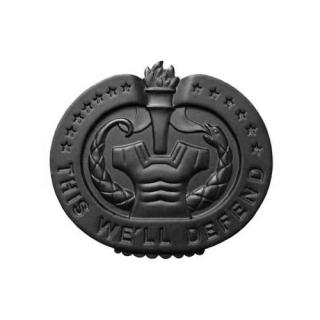Odznak DRILL INSTRUCTOR - ČERNÝ